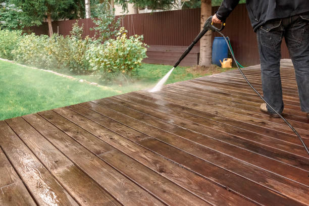 Best Gutter Cleaning  in Homestead, PA